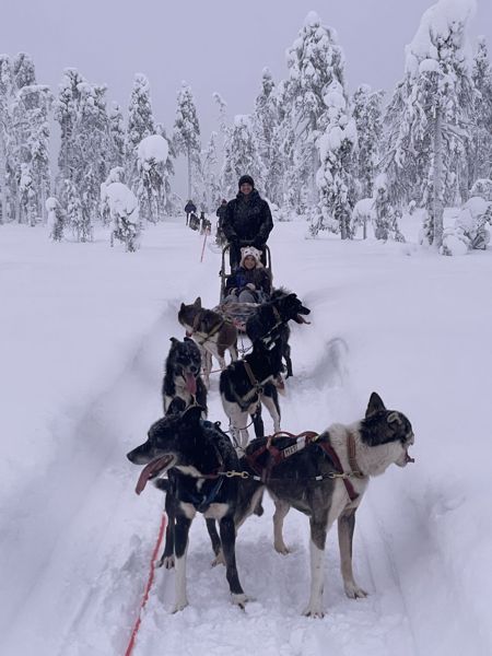 Unique Arctic Husky Trails Expedition